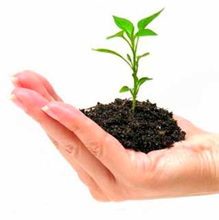 Taller sobre asuntos legales para negocios