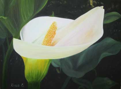 Pintura. Rosa Colón