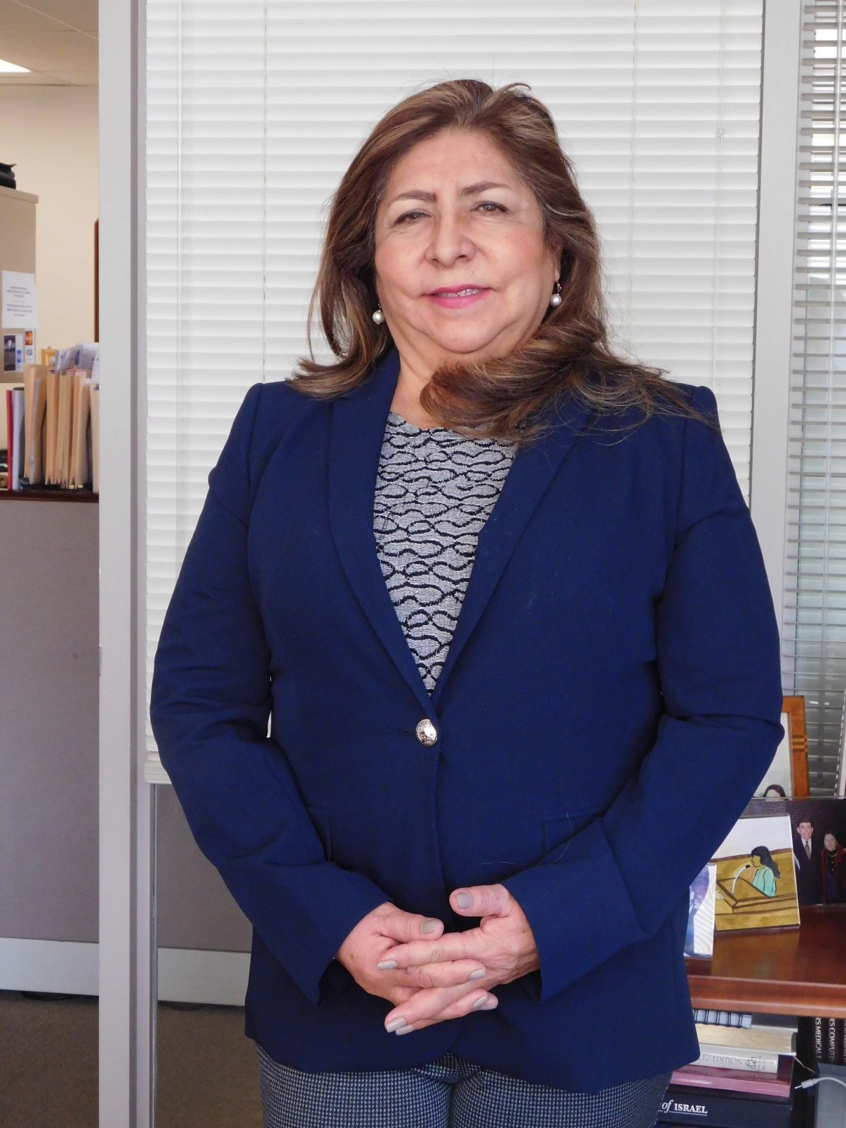 Elecciones Primarias el 25 de Junio - Noticias de Westchester, Estados ...