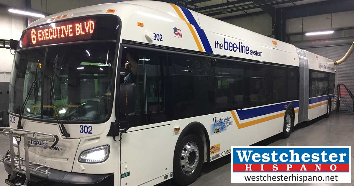 Fondos para ómnibus eléctricos BeeLine