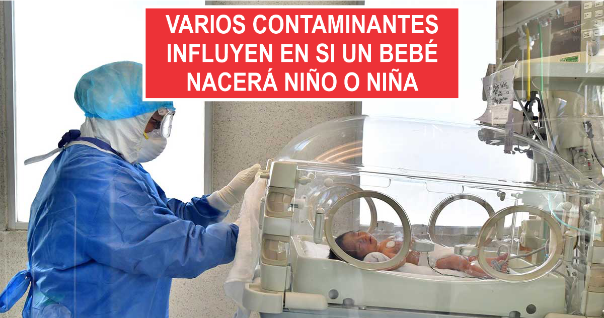 Varios contaminantes influyen en si un bebé nacerá niño o niña, según estudio