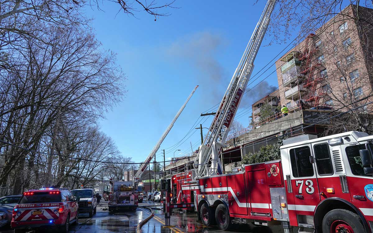 Aparato de cultivo de marihuana es causa y origen del incendio mortal en Yonkers