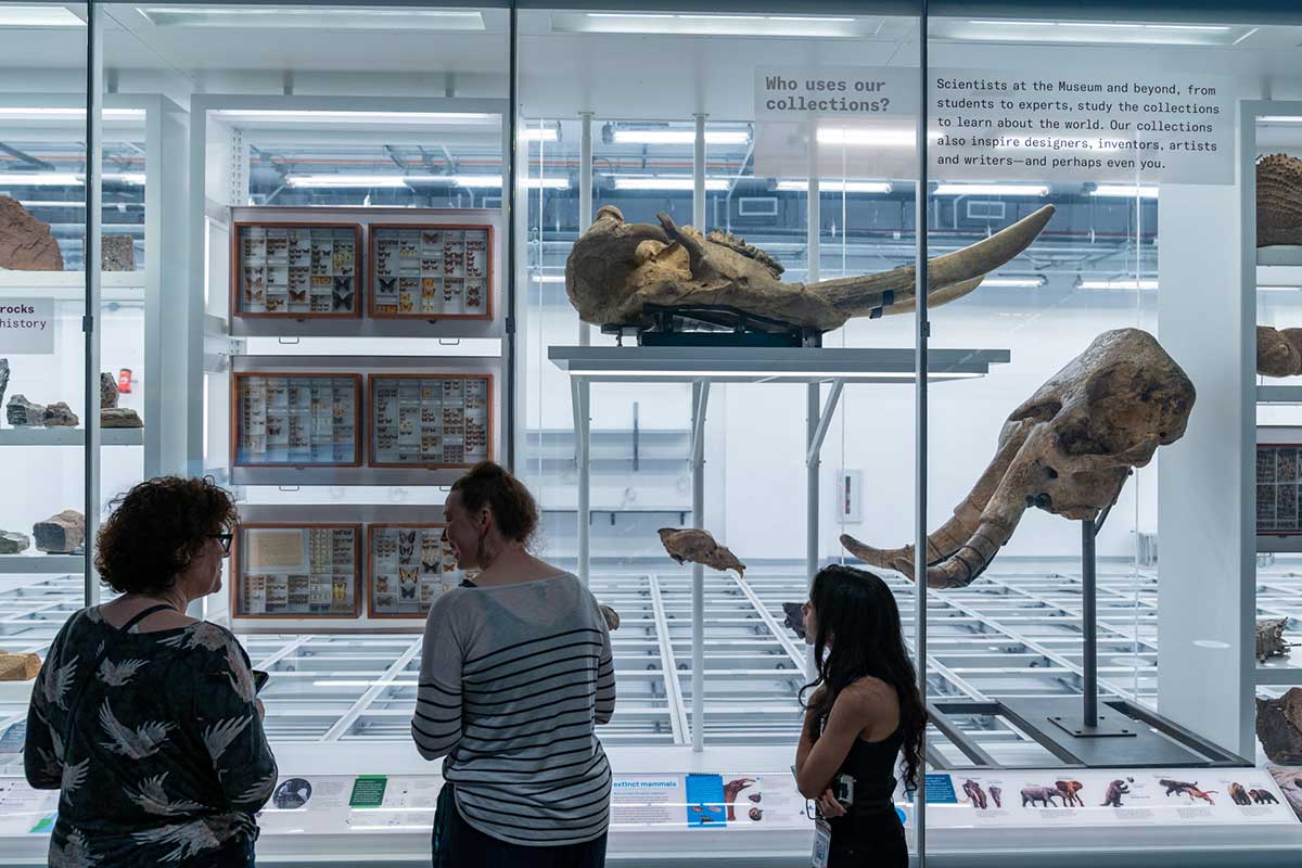 Museo Historia Natural de Nueva York estrena su nueva ala, un hito arquitectónico