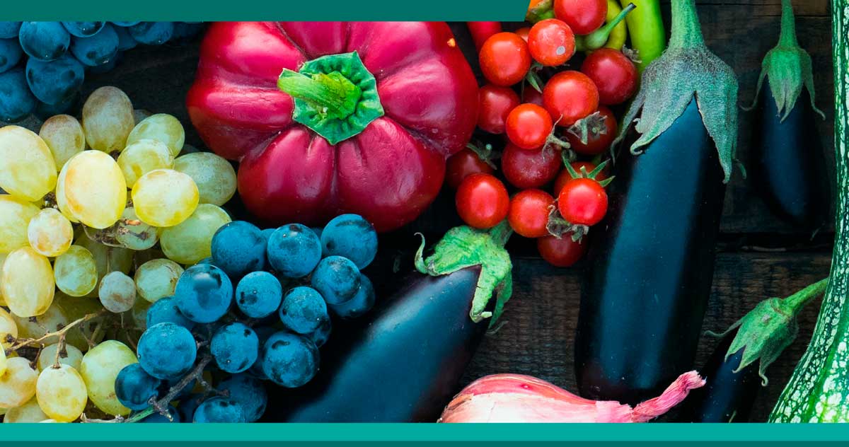 Westchester lanza estudio sobre transporte y acceso a alimentos