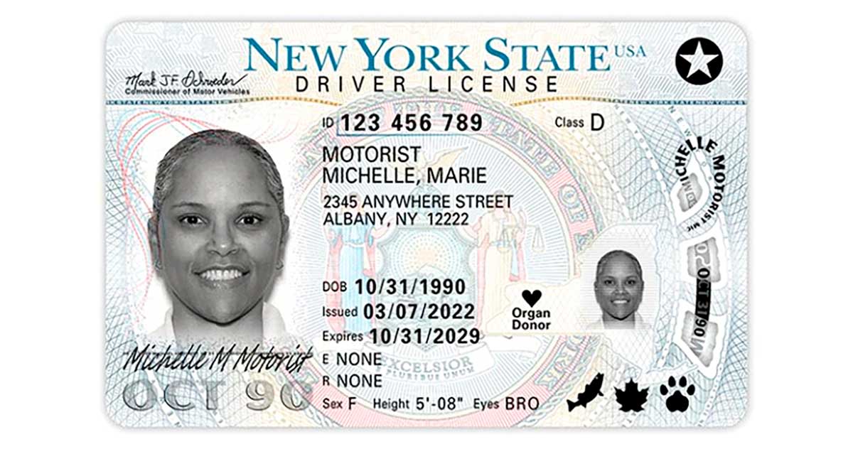 DMV cita a más de 310 personas por intento de uso de IDs falsos para comprar alcohol