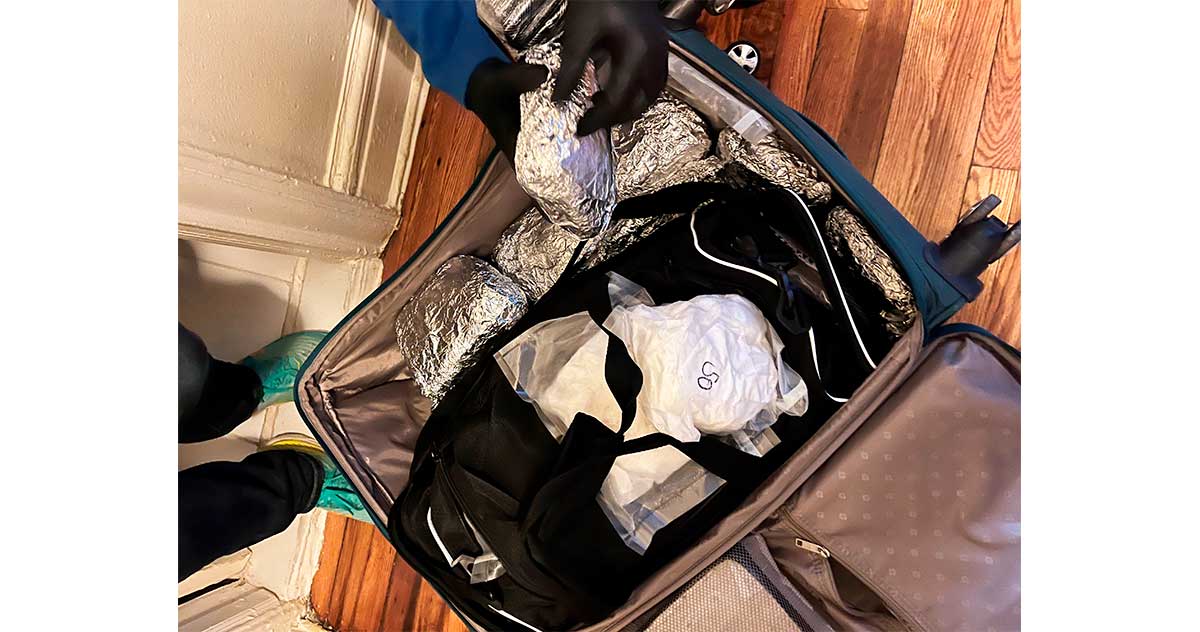 Desmantelan 110 libras de drogas en El Bronx valorizadas en $10 millones