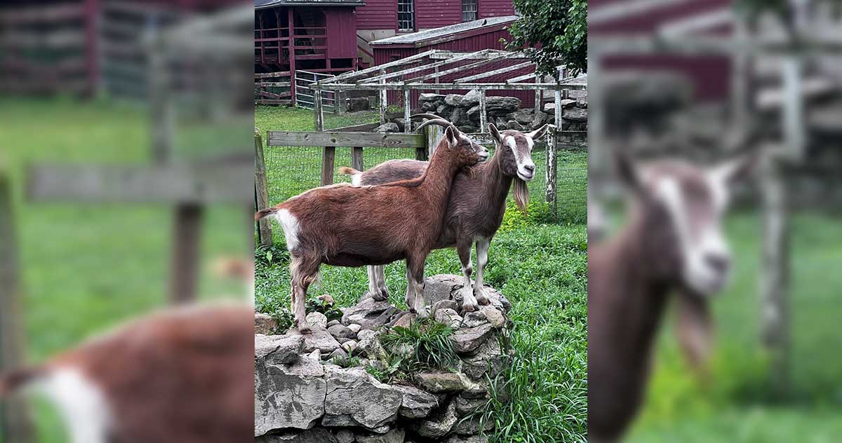 Inscripción para campamento de jóvenes agricultores