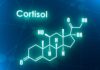 La hormona cortisol que impiden adelgazar