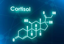 La hormona cortisol que impiden adelgazar
