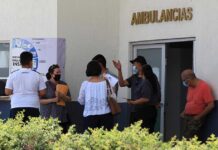 Muere una niña mexicana con gripe aviar