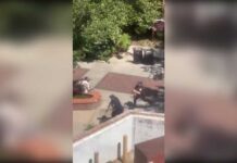 Sospechoso del tiroteo de la universidad es un estudiante hijo de una alguacil