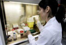 Demandan al Gobierno por recolección de muestras de ADN de inmigrantes