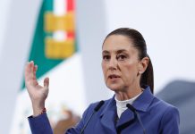 Sheinbaum demandará al abogado de Ovidio Guzmán por difamación