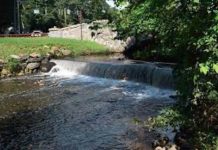 Los 100 años de la Reservación del Bronx River Parkway