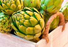 El poder verde de la alcachofa