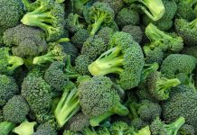 Brócoli: el vegetal estrella para cuidar tu cuerpo