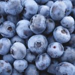 Arándano: el pequeño superalimento de grandes beneficios