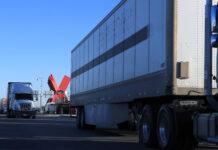 Ordenan cancelar licencias a camioneros inmigrantes