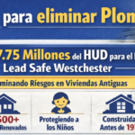 Subvención para eliminar residuos de plomo