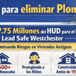 Subvención para eliminar residuos de plomo