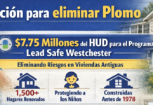 Subvención para eliminar residuos de plomo