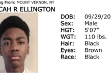 Policía busca a niño desaparecido en Mount Vernon