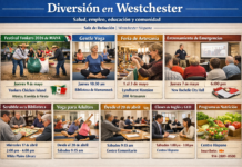 Diversión en Westchester