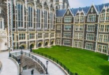 Nueva York invierte en empleos verdes