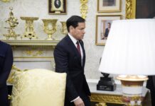 Especulan posible campaña presidencial de Marco Rubio
