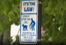 Yonkers endurece multas por desechos de perros Uno de los cartgeles ubicado en una calle de Yonkers, que indica la nueva multa para quienes no limpien los deshechos de sus mascotas.