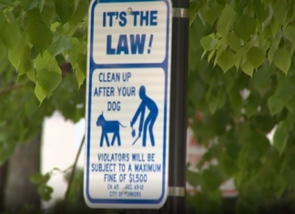 Uno de los cartgeles ubicado en una calle de Yonkers, que indica la nueva multa para quienes no limpien los deshechos de sus mascotas.