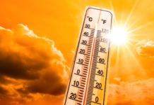 Advierten a neoyorquinos a protegerse ante la ola de calor