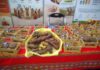 Agrofest e historias de los agricultores peruanos